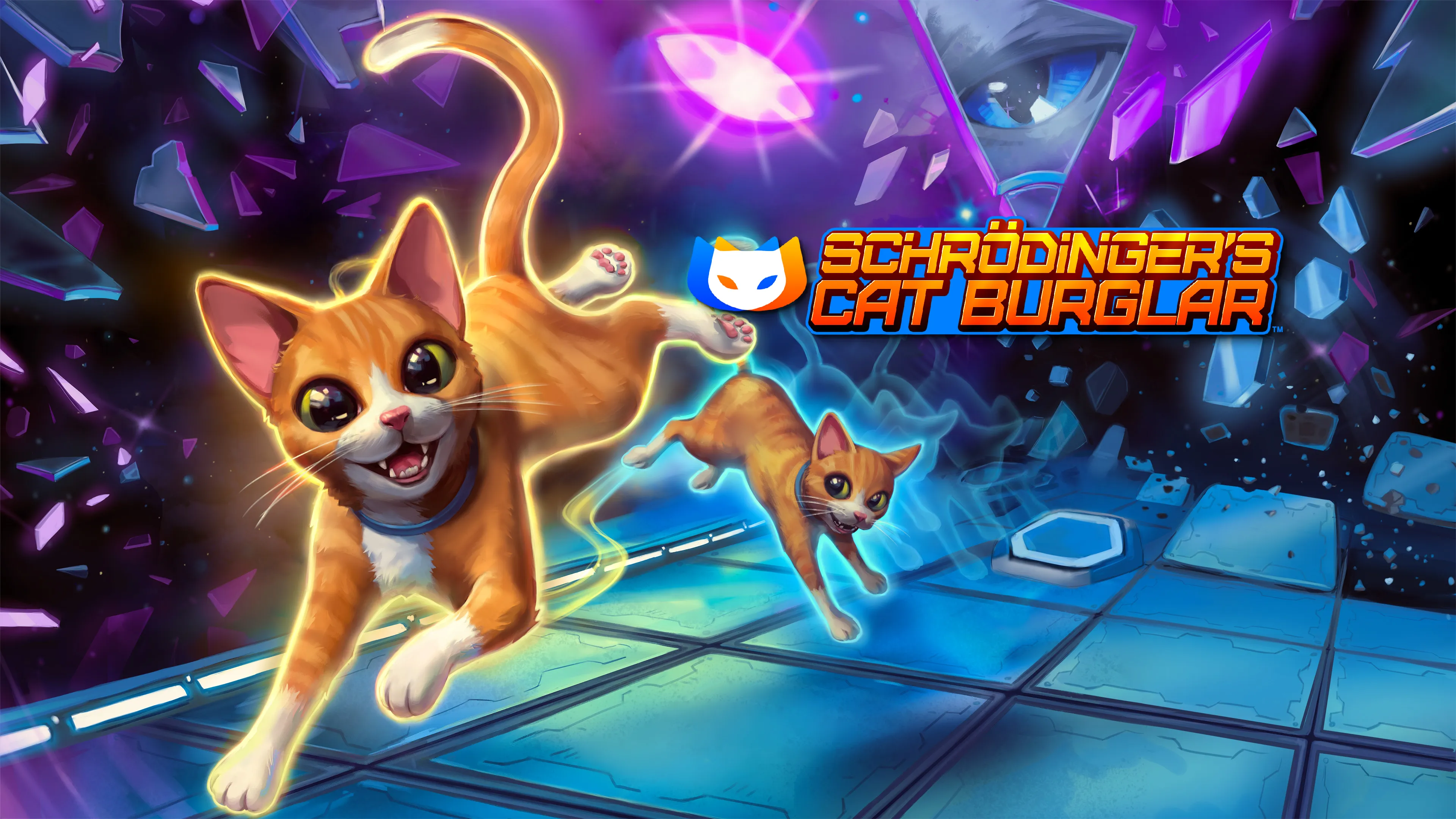 Schrodinger's Cat Burglar key art