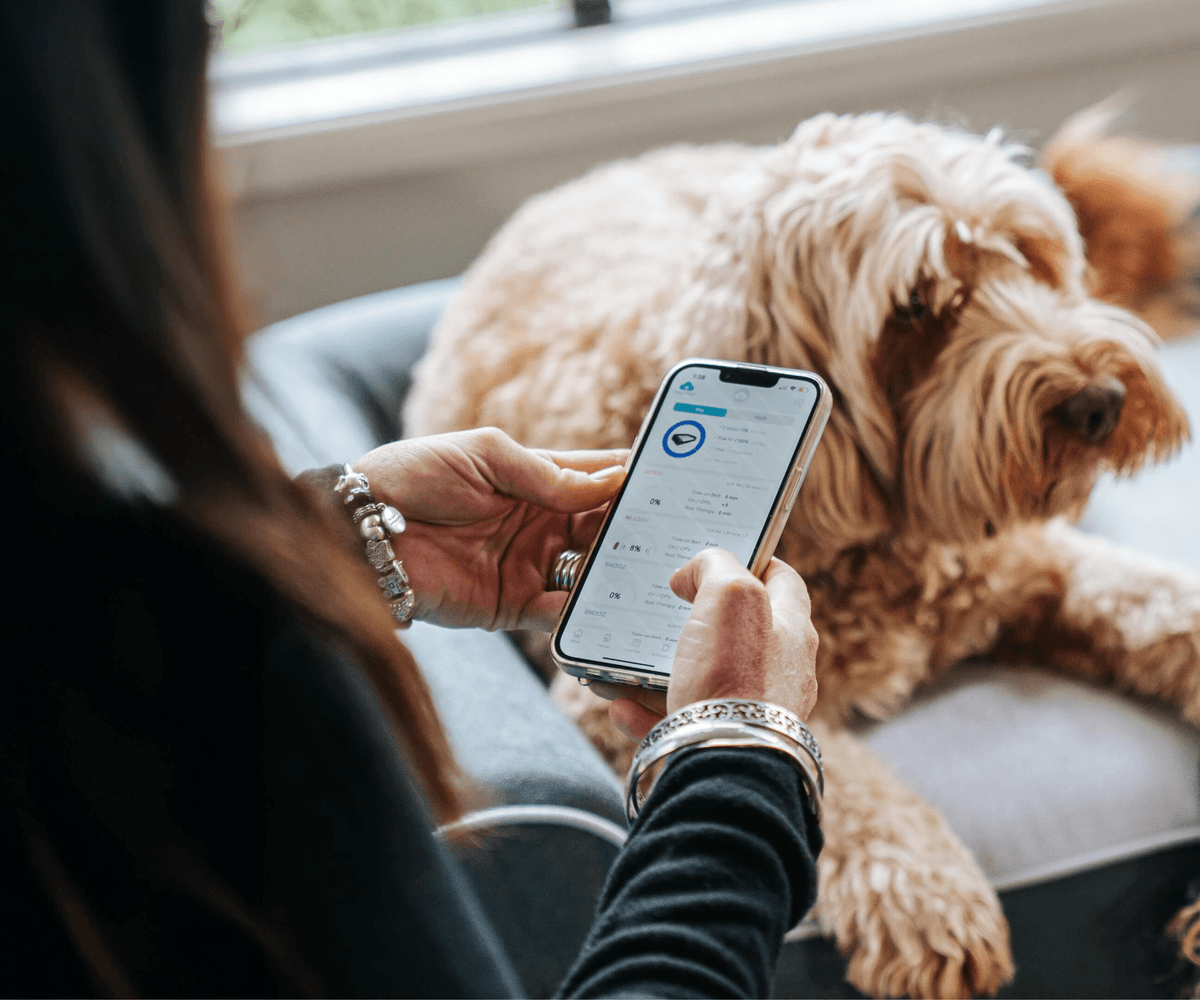 Dog Cloud mobile app being used beside a dog resting on a Dog Cloud massage bed.