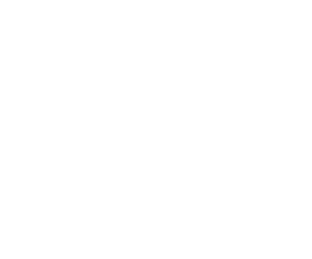 Earth Version 2 Pty Ltd logo