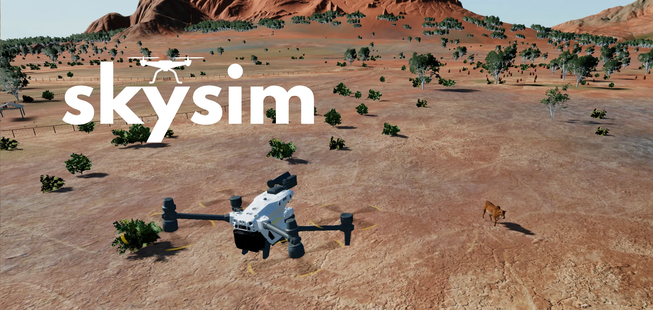 Sky Sim